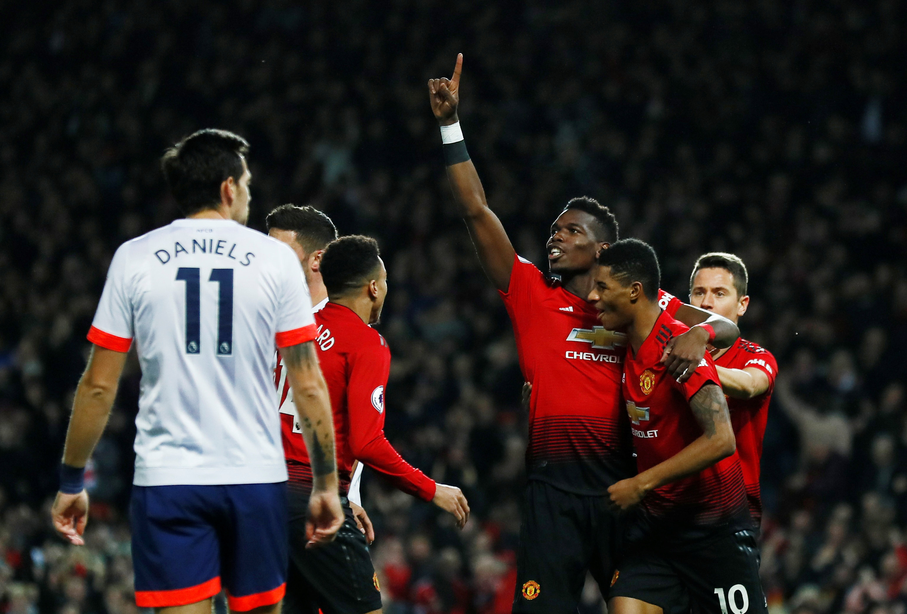 活与多样化 活与多样化